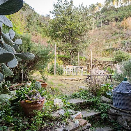 Il Limoneto Dei Cinque Sensi,Apartment With Garden Vernazza Exteriér fotografie